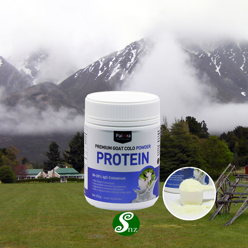 뉴질랜드 산양초유 유청단백질분말 파이오라 Protein 산양유 초유 파우더 250g 1개