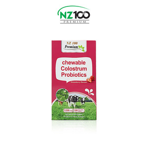 뉴질랜드 NZ100 초유유산균 프로바이오틱스 딸기맛 츄어블 120정 1통