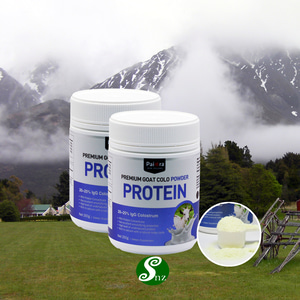 뉴질랜드 산양초유 유청단백질분말 파이오라 Protein 산양유 초유 파우더 250g 2개
