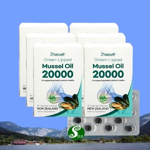 프럼네이처 뉴질랜드 콘드로이친 초록입홍합오일 20000 90캡슐 6통