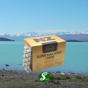뉴질랜드 초록홍합 콘드로이친 피터앤존 슈퍼맥스조인트 200캡슐 1통
