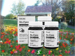 Nu Eyes 뉴질랜드 빌베리 50,000mg 90캡슐 3개