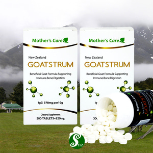 뉴질랜드 마더스케어 산양유 초유 단백질 츄어블 고트스트럼 300정 2통