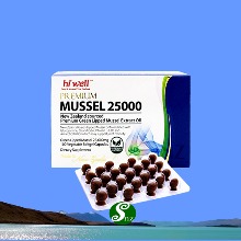 하이웰 뉴질랜드 초록입홍합오일 25000 100캡슐 1통